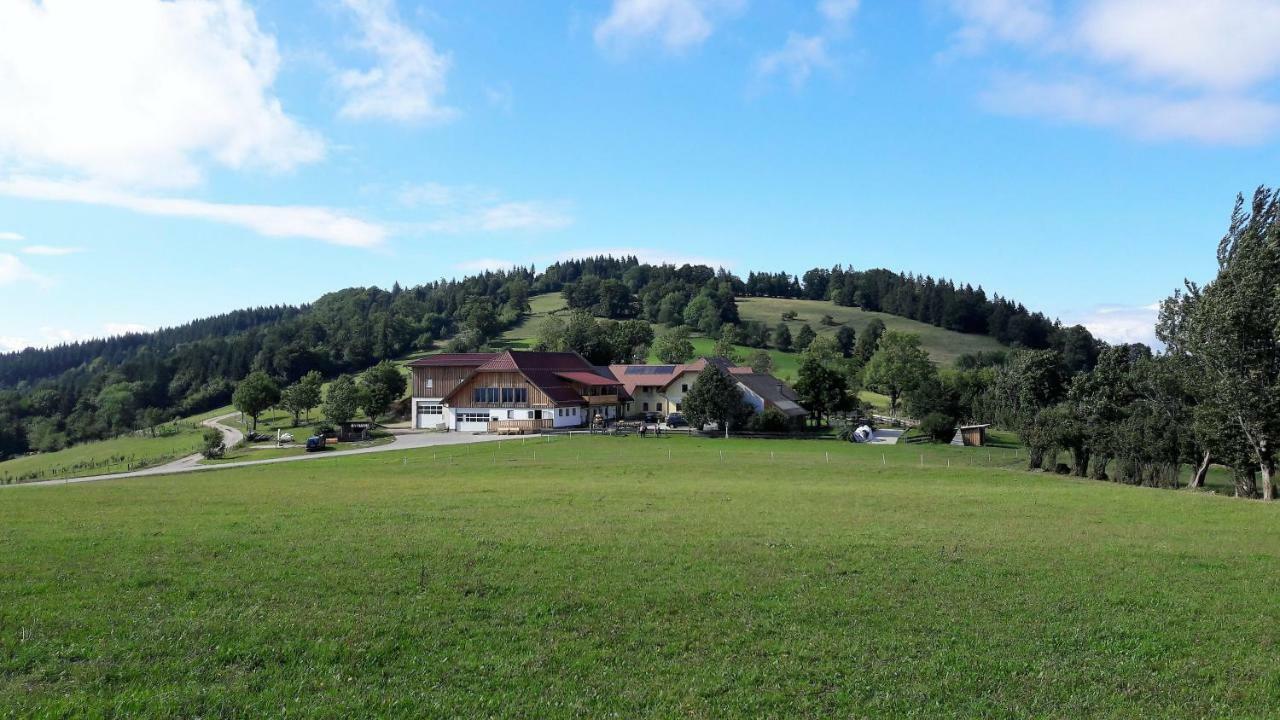 Oetscherblick Fam Winter Frankenfels ภายนอก รูปภาพ