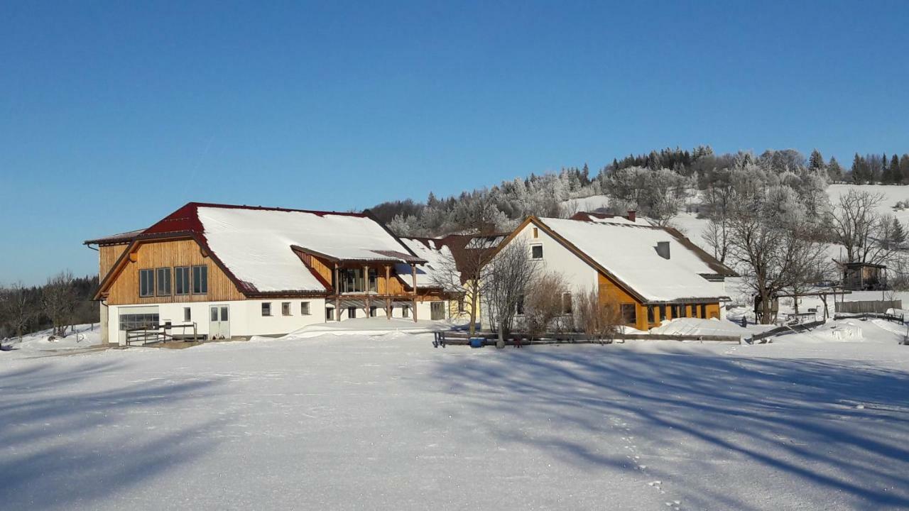 Oetscherblick Fam Winter Frankenfels ภายนอก รูปภาพ