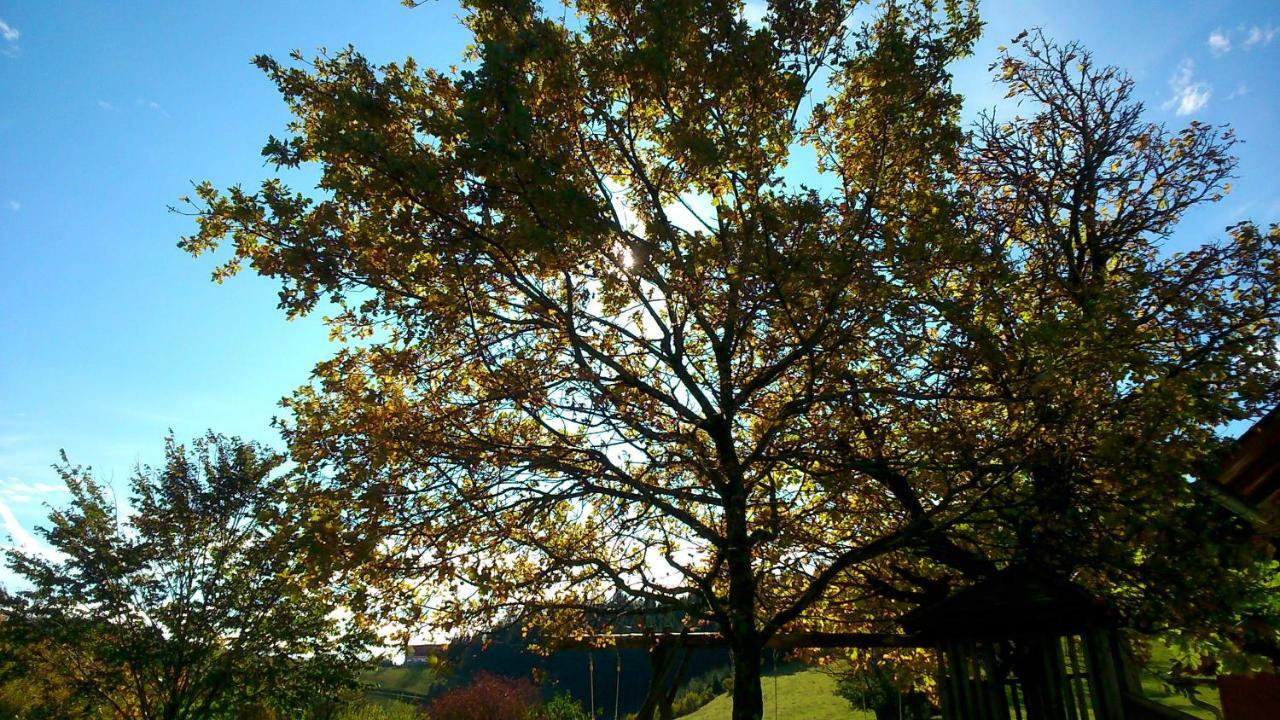 Oetscherblick Fam Winter Frankenfels ภายนอก รูปภาพ