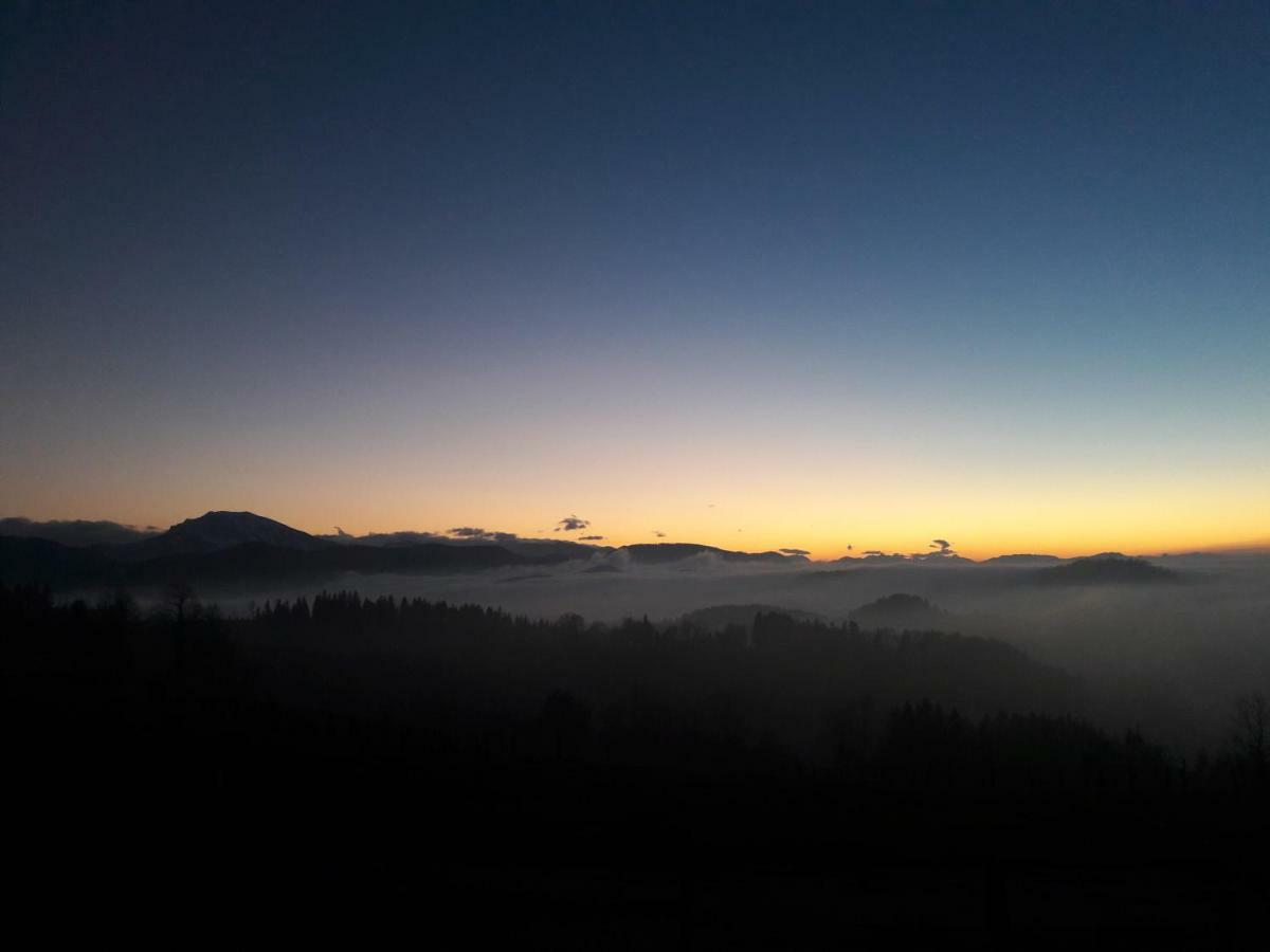 Oetscherblick Fam Winter Frankenfels ภายนอก รูปภาพ